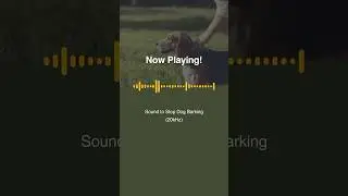 Stop Dog Barking: Best Training Sound (Test Clip &ndash; 30s)