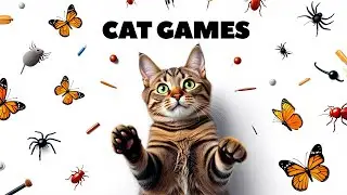 Cat games catch insects, grasshoppers, locusts and more! Best videos for cats to watch Vol 22 😻