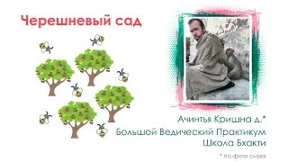 Черешневый сад. Ачинтья Кришна д. и Большой Ведический Практикум