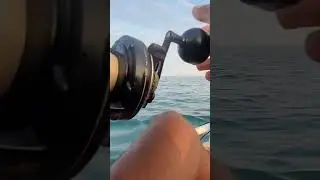 pescamos un gigante en kayak #fishing #viral #shortvideo #suscribete #viralvideo #video