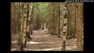 (FREE FOR PROFIT) sad guitar loop 'overwhelmed ' / free loop / sample! 149 bpm A# major