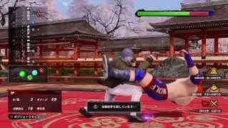 人として認められたいバーチャランクマ！！！！！(人段を目指して)