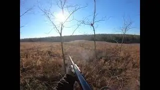 2 Bucks Rolled On Drive (Powhatan, VA)￼