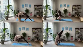 Vinyasa Flow Advanced Chinstand and Backbends