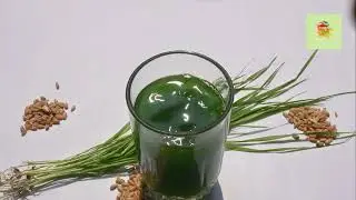 Harness the Nutritional Power of Grass Powders with Green Source Organics