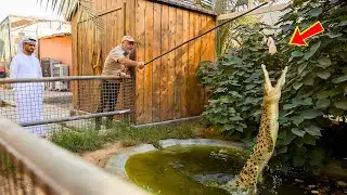 Jay Brewer&rsquo;s Ultimate Tour of Dubai&rsquo;s Billionaire Fame Park! Exotic Reptiles & Rare Wildlife