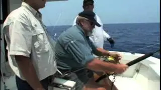 Blue Marlin in Bermuda