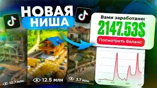 НОВАЯ НИША для заработка | TikTok МОНЕТИЗАЦИЯ.