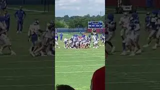 New York Giants FIGHT At Training Camp!! #giants #giantspride #newyorkgiants  #nfl #nyg