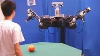 Robot Learns Pointing Gesture