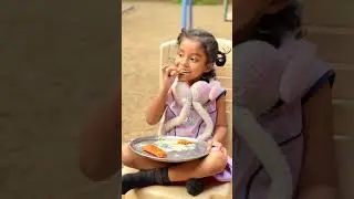 Pinkz Fest Talent Hunt Day 1 Highlights 🔥 | 2025&ndash;2026 | Student Excellence | PINKZ Public School
