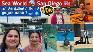 ਕਦੇ ਦੇਖੇ ਮੱਛੀਆਂ ਦੇ ਇਦਾ ਦੇ ਖੂਬਸੂਰਤ ਕਰਤਬ ? | Sea World 🐬  San Diego 🇺🇸 | Punjabi Vlog |