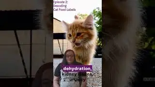 The Science of Cats: episode 2 - How to Read a Cat Food Label #cat #cathealth