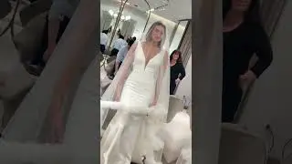 The newest collection by Pronovias