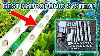 IS THIS THE BEST EBAY HYDROPONIC SYSTEM?