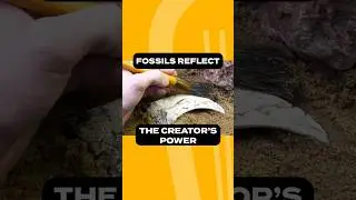 The Power to Break Bones