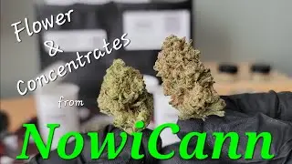 Flower and Concentrates from NowiCann - Secret Cookies, Banana Sundae, GMO Sugar, Meat Breath Badder