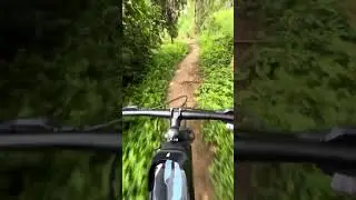 Victoria bike trail