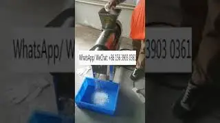 Coconut juicer juice pulp making machine fruit vegetable pulping paste maker grinder