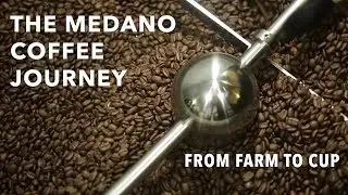 The Medano Coffee Journey - From Farm to Cup