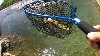 Mezz'ora in pesca