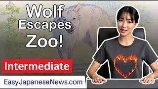 How a Wolf Escaped Tokyo's Tama Zoo: The Shocking Details | Intermediate #LearnJapanese