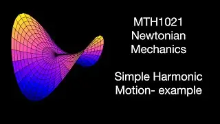 Simple Harmonic Motion Example