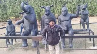 good morning my youtub families ,welcome to my live stream my youtub families.