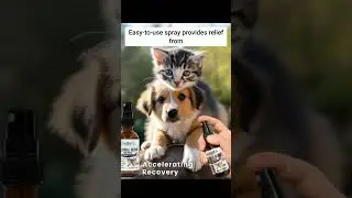 Colloidal Silver Spray for Pets | Natural Skin & Wound Care