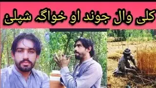 #shortvideo Kalee Wall Jwand #pakhto Hwaga shpely #new music