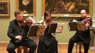 Virtuozo String Quartet