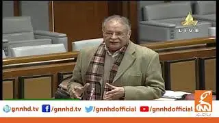 Pervaiz Rasheed Complete Speech In Senate Session | GNN | 18 Jan 2021