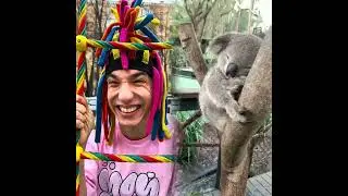 🤣😜😜👌👌👌2026 pov Must-Watch Crazy Clips Compilation #humor #fypシ #pov #fyp #foryou 😍😜