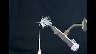 Palmer Hackles - Fly Tying: Feathers&Fins