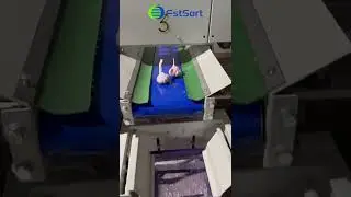 Garlic Size Sorting Machine,Vegetable Grading Packing Production Line,M&aacute;quina Clasificadora De Ajo