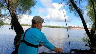 Power Packed Fishing For Shark, Blue Catfish, & White Bass