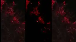 Underground Techno | Paskal Vallis | After Hours | PXM