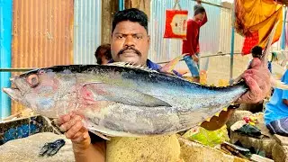 KASIMADU SPEEDSELVAM БОЛЬШОЙ РАЗМЕР ТУНЦА, ВИДЕО НАРЕЗКИ #kasimeduselvam