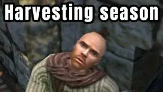 It's almost harvesting season