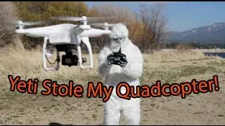 Yeti Stole My Quadcopter