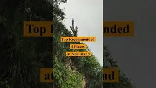 Recommended places to visit @ Neil Island #bharatpurbeach #naturalrockformation #laxmanpurbeach