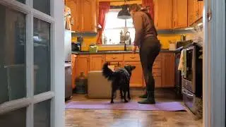 Ashley Reitmaier, lesson 4.3, shaping a new behavior 