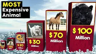 Most Expensive Animals in the World 🤑💸