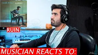 Shawn Mendes - Ruin - Musician's Reaction