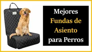 TOP 5 ✅ Mejores Fundas de Asiento para Perros Calidad Precio 🥇 Amazon