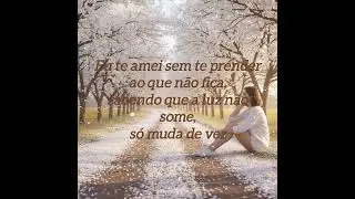 Eu te Amei