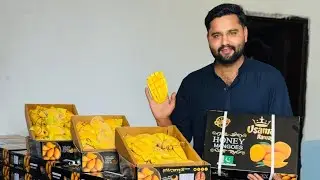 Most Delicious Mangoes Export Quality Mango Order Contact 03091882823 | Usama Ramay |