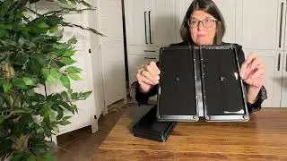 LULUCATCH Mouse Trap Review | Sticky, Safe & Easy Indoor Pest Control