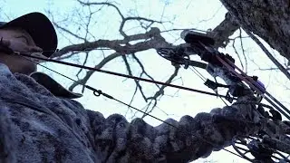 Why Bow Speed Matters For Bowhunting