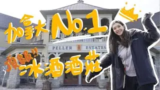 加拿大第一名頂級冰酒酒莊！冰酒價格好驚人只要台灣的六折？！冬季尼加拉大瀑布｜Toronto Canada Peller Estates Niagara Penisula 佳濃 #加拿大 #冰酒 #酒莊